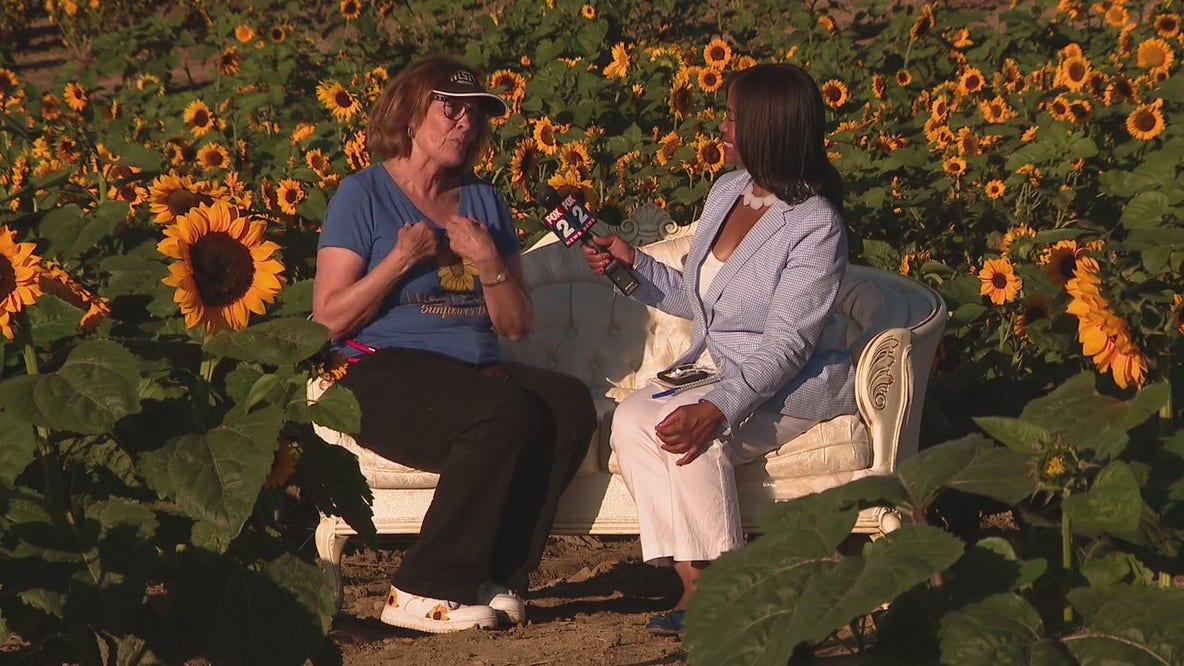 Westview Orchards and Winery in Washington, Michigan offers fun for the whole family